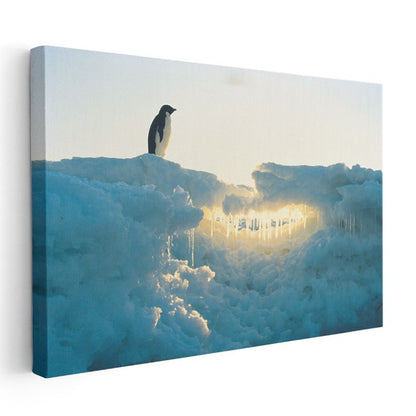 Buzul Penguen - Altın Işıklı Kar Manzarası Kanvas Tablo