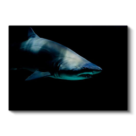 Karanlık Sularda Köpekbalığı - Yandan Profil Kanvas Tablo
