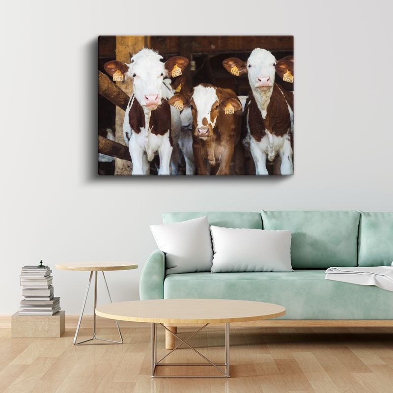 Çiftlik Buzağıları - Meraklı Bakışlar Kanvas Tablo