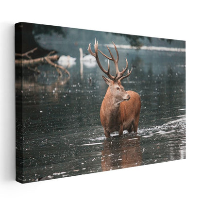 Görkemli Geyik - Su İçinde Heybetli Duruş Kanvas Tablo