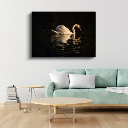 Zarif Kuğu - Akşam Sularında Yüzüş Kanvas Tablo