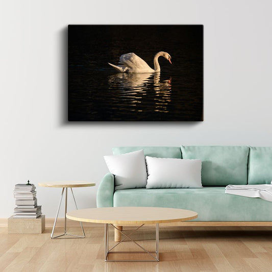 Zarif Kuğu - Akşam Sularında Yüzüş Kanvas Tablo