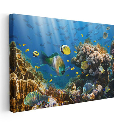Mercan Cenneti - Renkli Tropikal Balıklar Kanvas Tablo