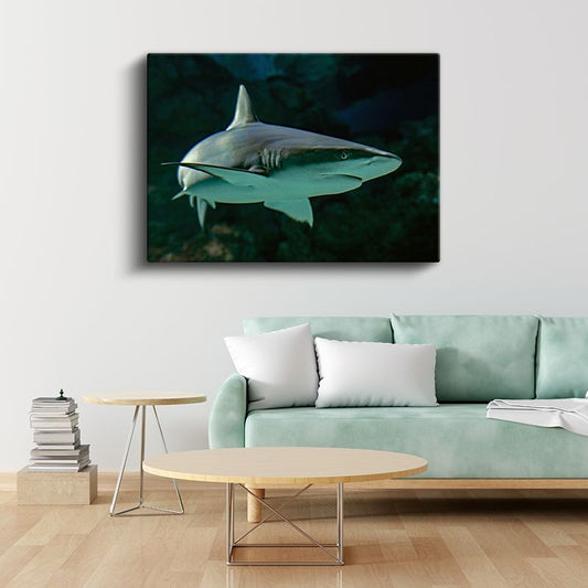 Zarif Köpekbalığı - Derin Yeşil Sularda Yüzüş Kanvas Tablo