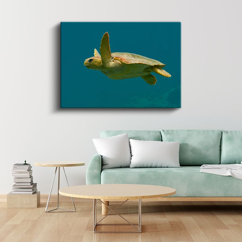 Deniz Kaplumbağası - Turkuaz Suda Özgür Yüzüş Kanvas Tablo