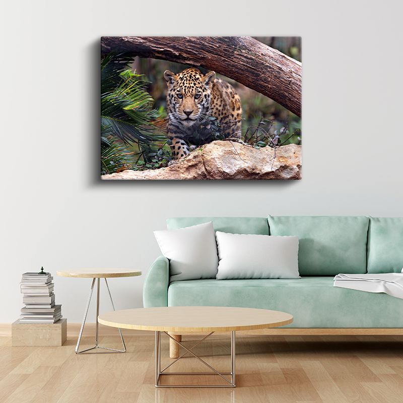 Genç Jaguar - Doğal Yaşam Alanında Pusuya Yatmış Kanvas Tablo