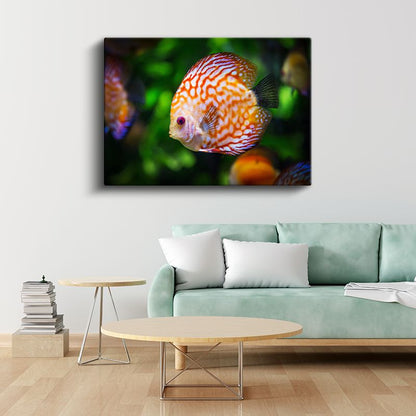Desenli Diskus Balığı - Turuncu Beyaz Egzotik Güzellik Kanvas Tablo