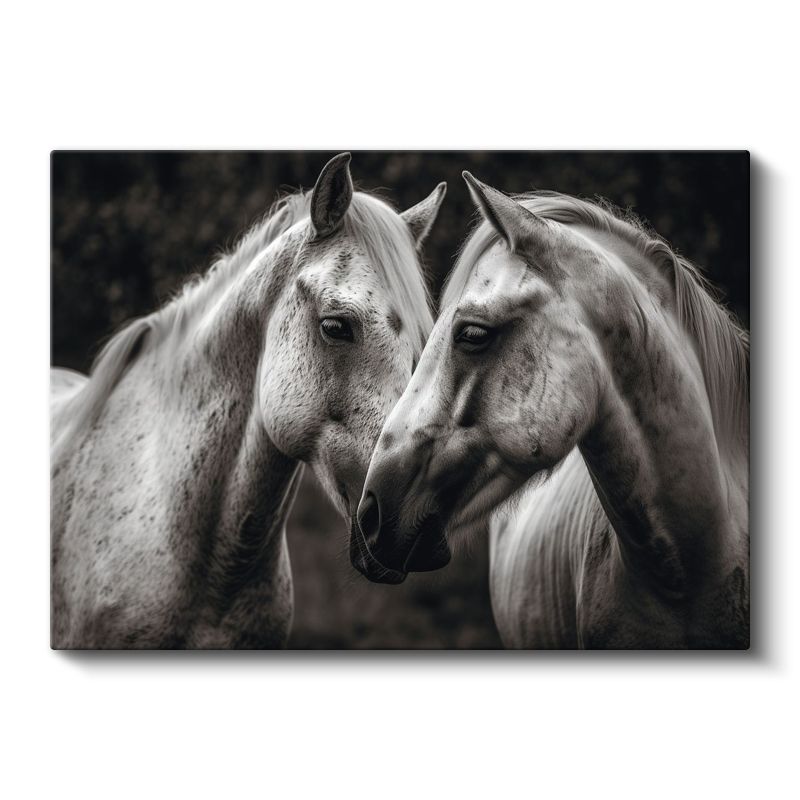 Sevgi Dolu Atlar - Siyah Beyaz Duygusal Portre Kanvas Tablo