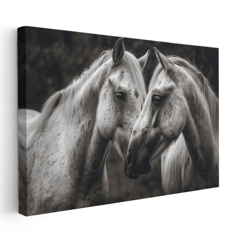 Sevgi Dolu Atlar - Siyah Beyaz Duygusal Portre Kanvas Tablo