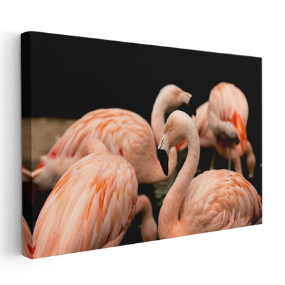 Pembe Flamingolar - Zarif Duruş Kanvas Tablo