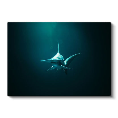 Derin Sularda Köpekbalığı - Karşıdan Bakış Kanvas Tablo