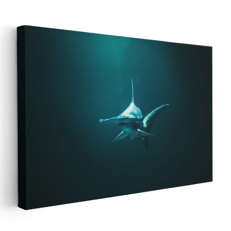 Derin Sularda Köpekbalığı - Karşıdan Bakış Kanvas Tablo