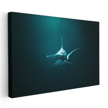 Derin Sularda Köpekbalığı - Karşıdan Bakış Kanvas Tablo