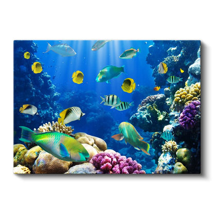 Mercan Cenneti - Renkli Tropikal Balıklar Kanvas Tablo