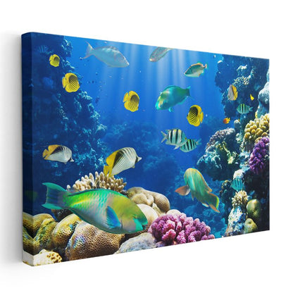 Mercan Cenneti - Renkli Tropikal Balıklar Kanvas Tablo