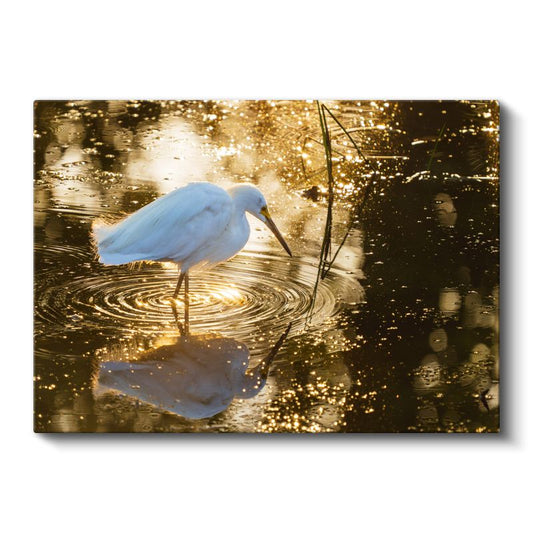 Altın Suda Balıkçıl - Işıltılı Yansıma Kanvas Tablo