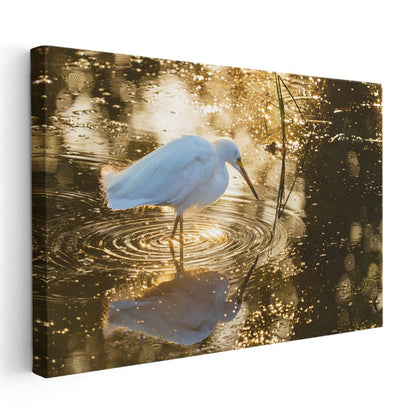 Altın Suda Balıkçıl - Işıltılı Yansıma Kanvas Tablo