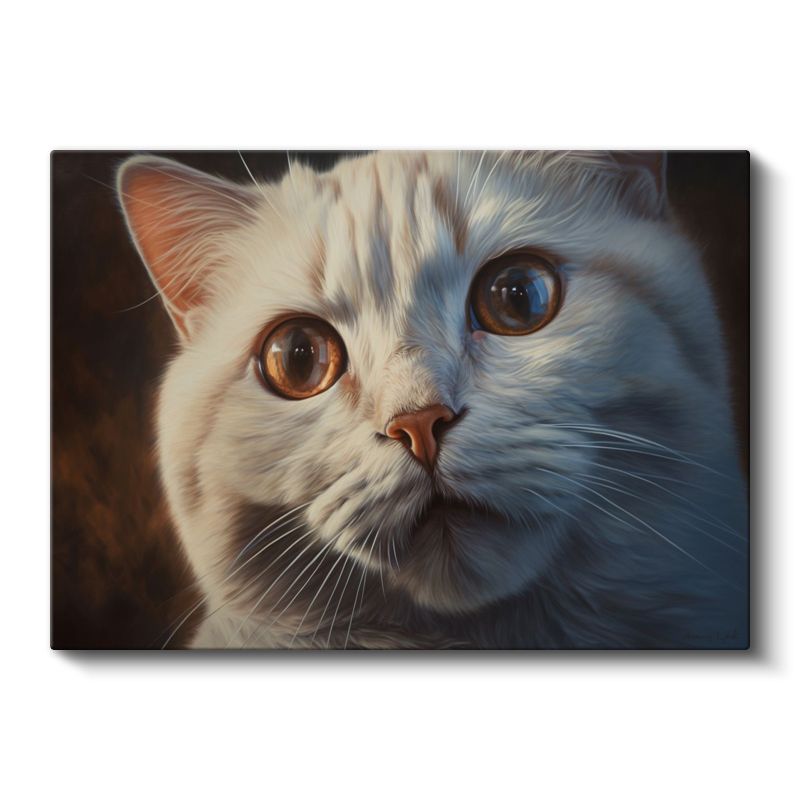 Beyaz Kedi - Derin Bakışlı Portre Kanvas Tablo
