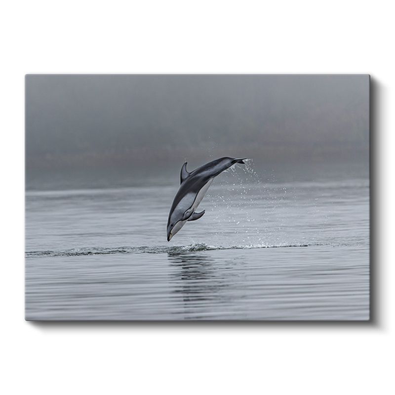 Sıçrayan Yunus - Gri Sularda Özgürlük Anı Kanvas Tablo