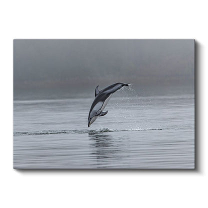 Sıçrayan Yunus - Gri Sularda Özgürlük Anı Kanvas Tablo