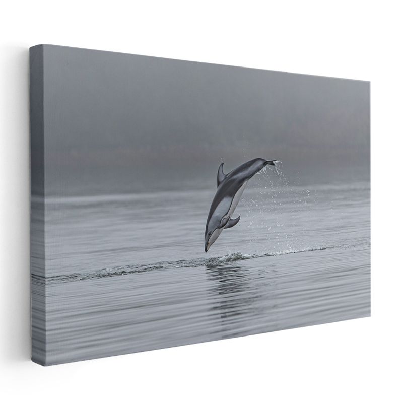 Sıçrayan Yunus - Gri Sularda Özgürlük Anı Kanvas Tablo