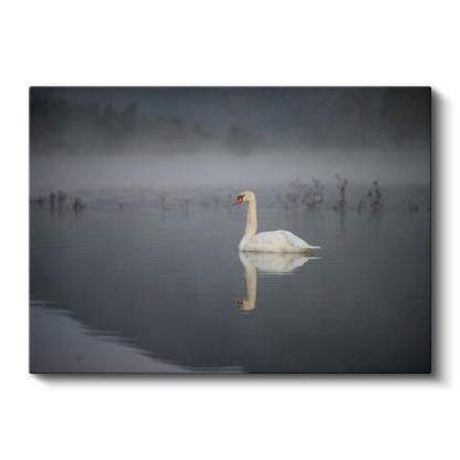 Sisli Göldeki Kuğu - Huzur Dolu Yansıma Kanvas Tablo