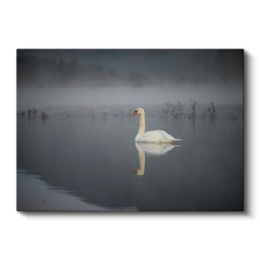Sisli Göldeki Kuğu - Huzur Dolu Yansıma Kanvas Tablo