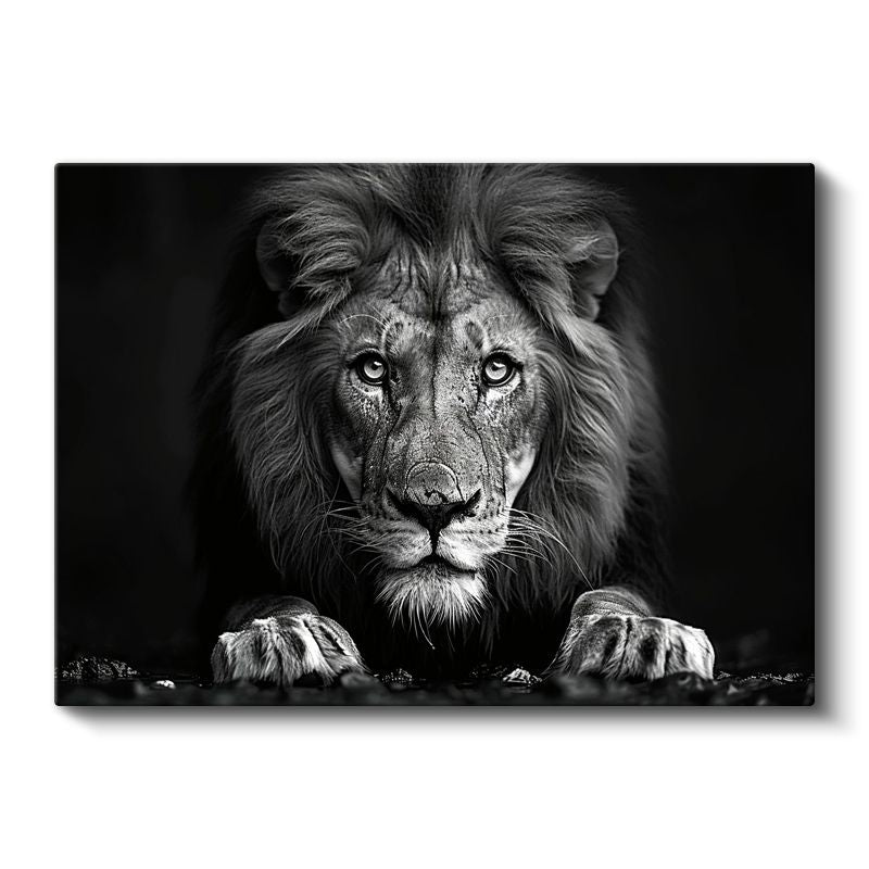 Karşıdan Aslan - Güçlü Bakışlar Kanvas Tablo