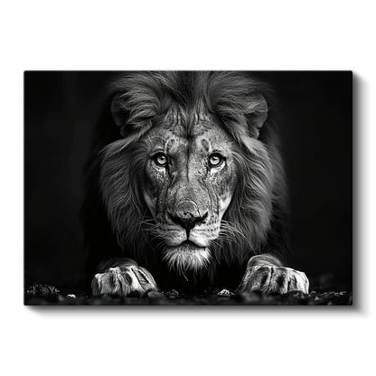 Karşıdan Aslan - Güçlü Bakışlar Kanvas Tablo