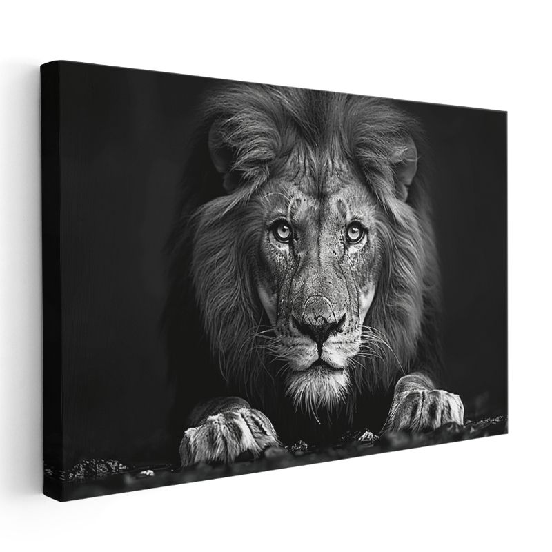 Karşıdan Aslan - Güçlü Bakışlar Kanvas Tablo