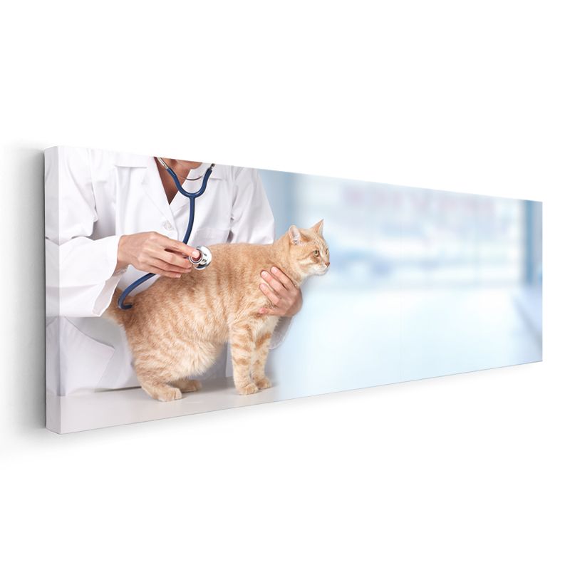 Veteriner Kedisi - Muayene Olan Sevimli Kızıl Kedi Kanvas Tablo