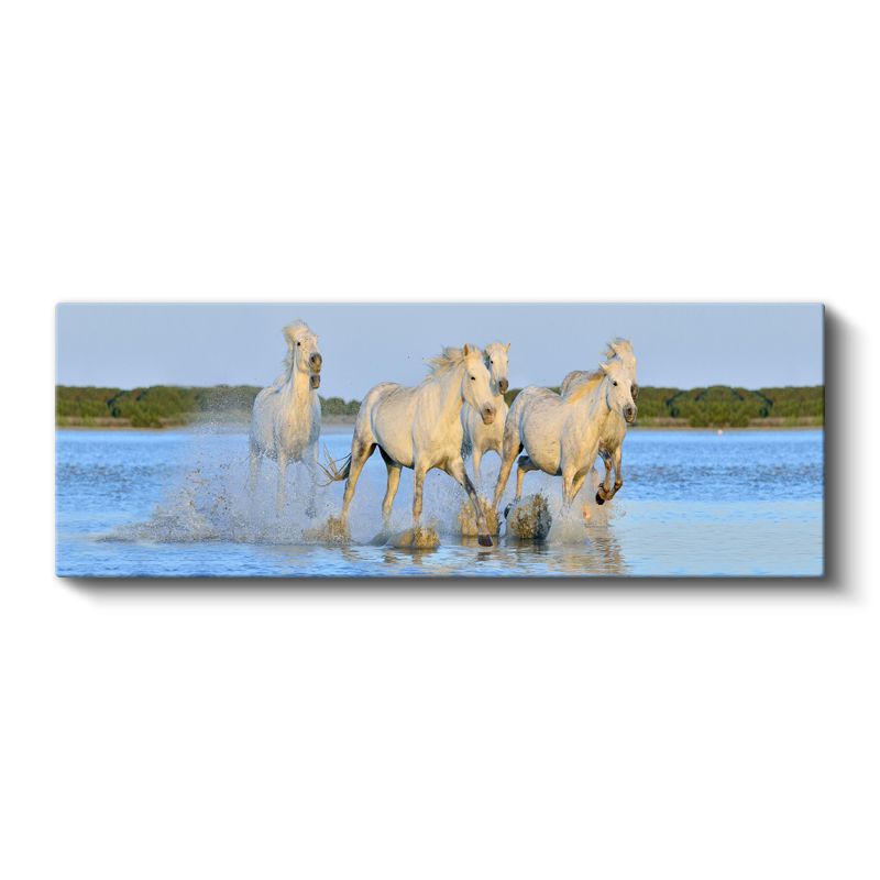 Özgür Atlar - Su İçinde Koşan Beyaz Yabani Atlar Kanvas Tablo