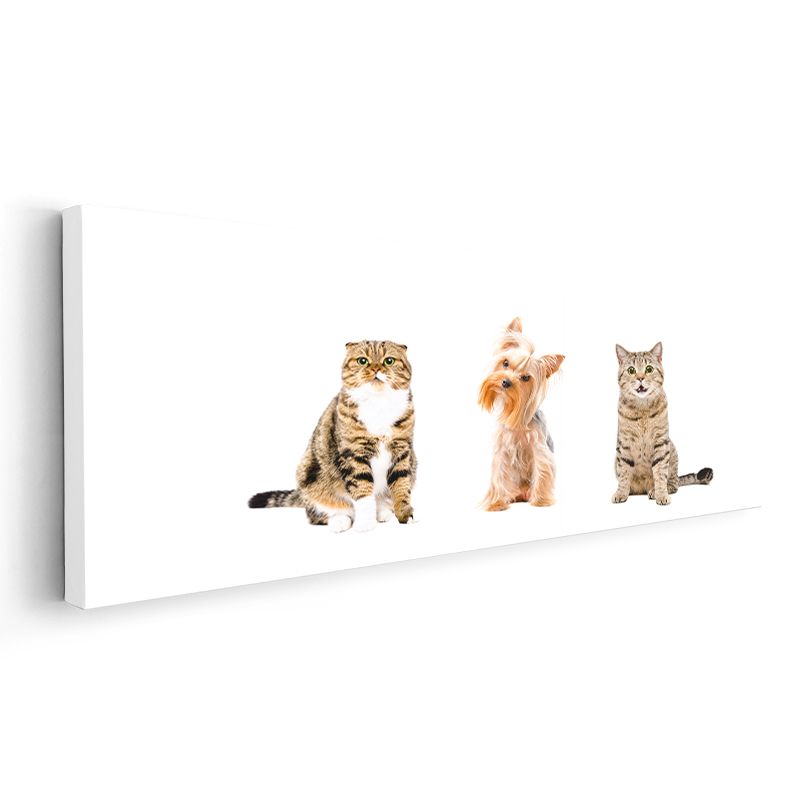 Evcil Dostlar - Sevimli Kediler ve Köpek Üçlüsü Kanvas Tablo