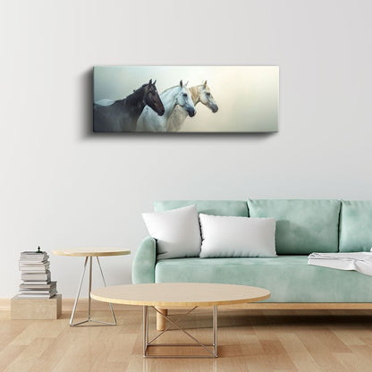 Üç Asil At - Farklı Renklerde Yan Yana Duran Atlar Kanvas Tablo