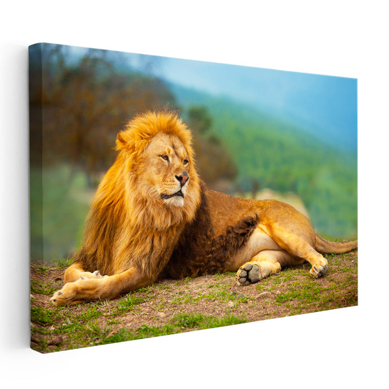 Yatay Kanvas Tablo Yeşil Çimen Zemin Aslan Portresi Aslan Tablosu Ev Ofis Duvar Dekoru
