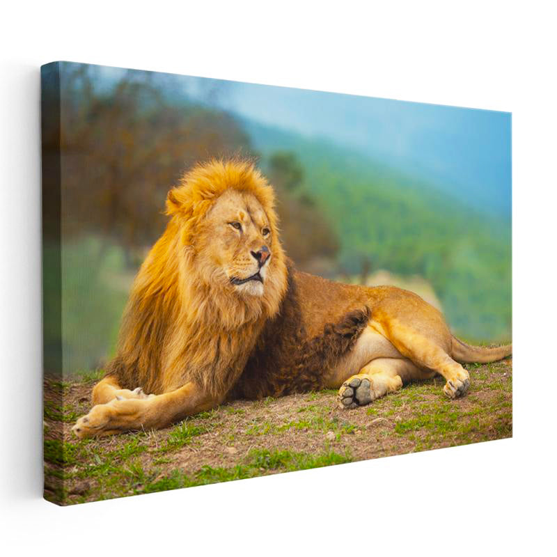 Yatay Kanvas Tablo Yeşil Çimen Zemin Aslan Portresi Aslan Tablosu Ev Ofis Duvar Dekoru
