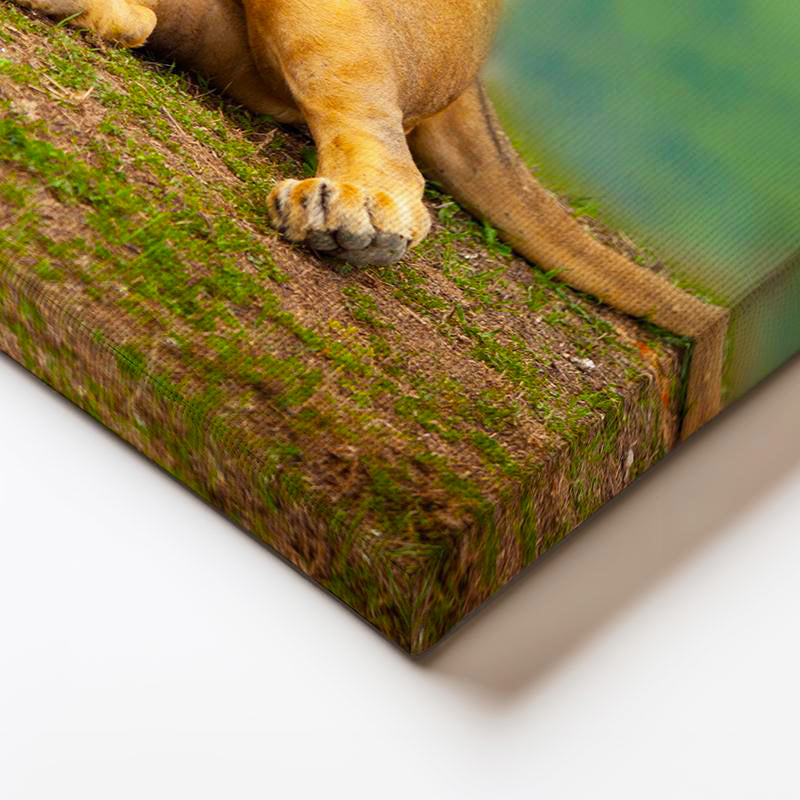 Yatay Kanvas Tablo Yeşil Çimen Zemin Aslan Portresi Aslan Tablosu Ev Ofis Duvar Dekoru