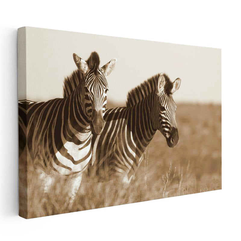 Yatay Kanvas Tablo Kuru Otlar Arasında İki Zebra Zebra Tablosu Ev Ofis Duvar Dekoru