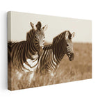 Yatay Kanvas Tablo Kuru Otlar Arasında İki Zebra Zebra Tablosu Ev Ofis Duvar Dekoru
