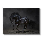 Yatay Kanvas Tablo Kaslı Siyah Aygır At Tablosu Ev Ofis Duvar Dekoru