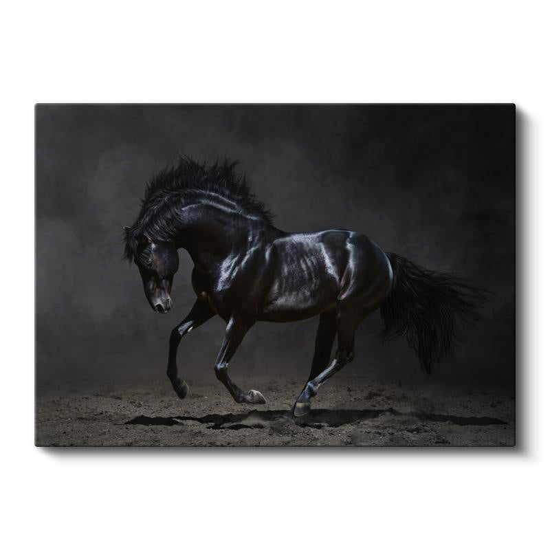 Yatay Kanvas Tablo Kaslı Siyah Aygır At Tablosu Ev Ofis Duvar Dekoru