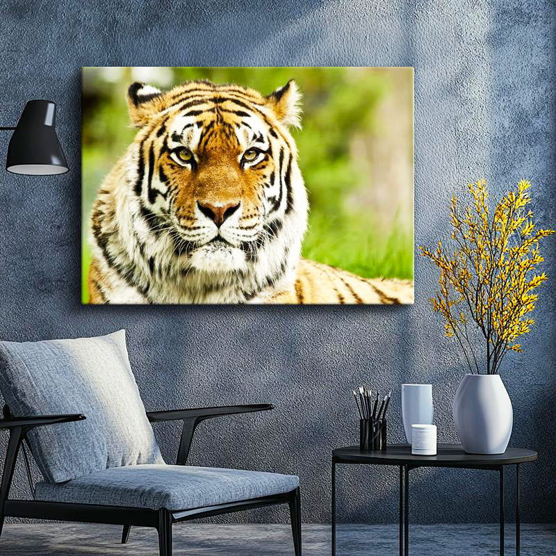 Yatay Kanvas Tablo Keskin Bakışlı Kaplan Portresi Kaplan Tablosu Ev Ofis Duvar Dekoru