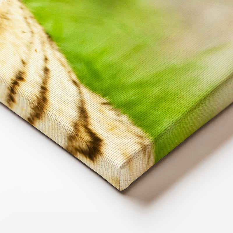 Yatay Kanvas Tablo Keskin Bakışlı Kaplan Portresi Kaplan Tablosu Ev Ofis Duvar Dekoru