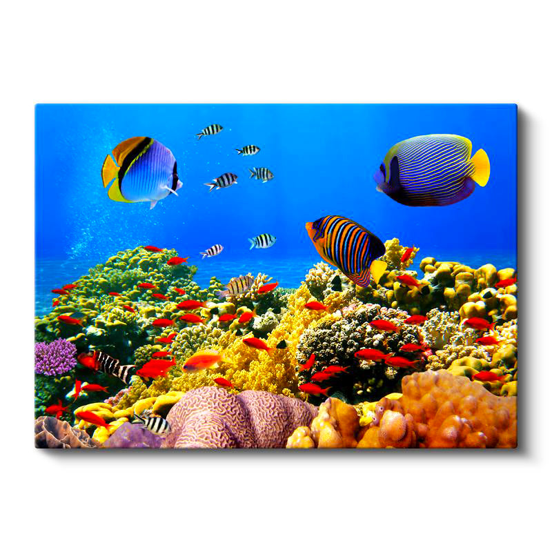 Yatay Kanvas Tablo Sualtı Mercan Resifi Ve Egzotik Balık Tablosu Ev Ofis Duvar Dekoru
