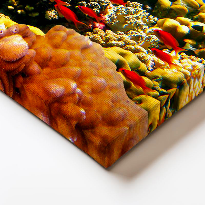 Yatay Kanvas Tablo Sualtı Mercan Resifi Ve Egzotik Balık Tablosu Ev Ofis Duvar Dekoru