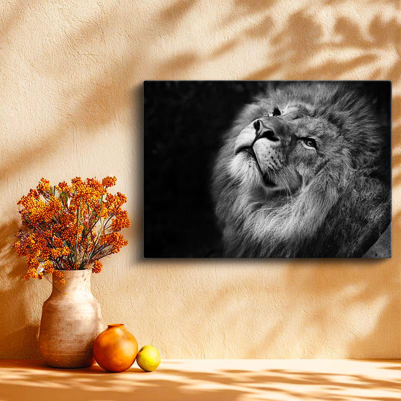 Yatay Kanvas Tablo Gökyüzüne Bakan Aslan Portresi Aslan Tablosu Ev Ofis Duvar Dekoru