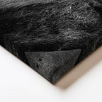 Yatay Kanvas Tablo Gökyüzüne Bakan Aslan Portresi Aslan Tablosu Ev Ofis Duvar Dekoru