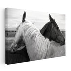 Yatay Kanvas Tablo İkili Portre At Tablosu Ev Ofis Duvar Dekoru