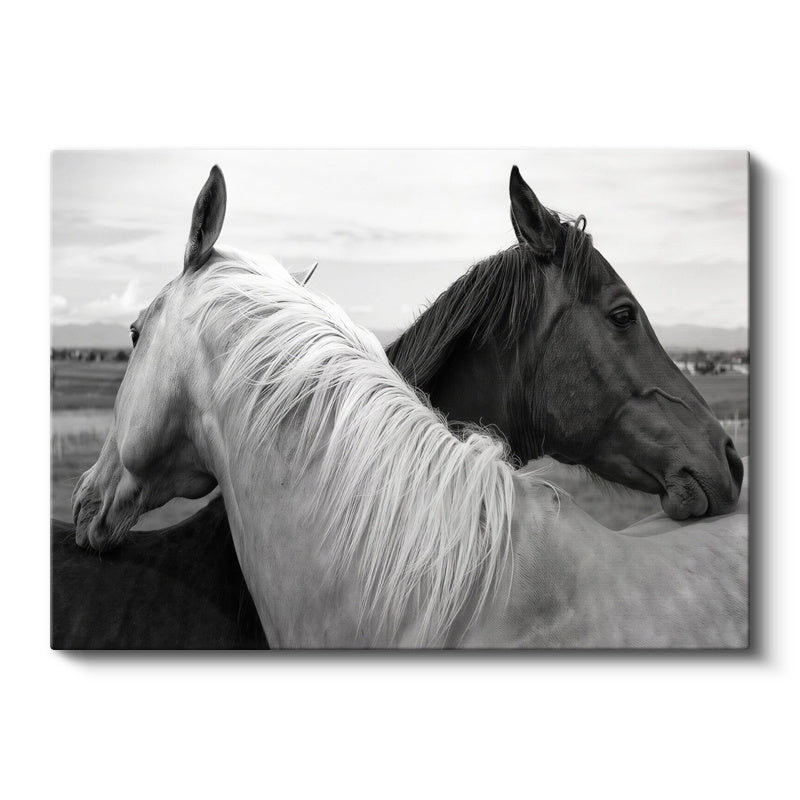 Yatay Kanvas Tablo İkili Portre At Tablosu Ev Ofis Duvar Dekoru