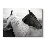 Yatay Kanvas Tablo İkili Portre At Tablosu Ev Ofis Duvar Dekoru